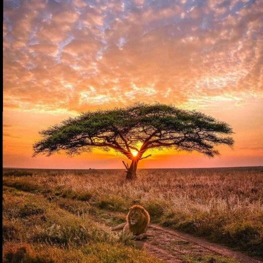 Member Background image