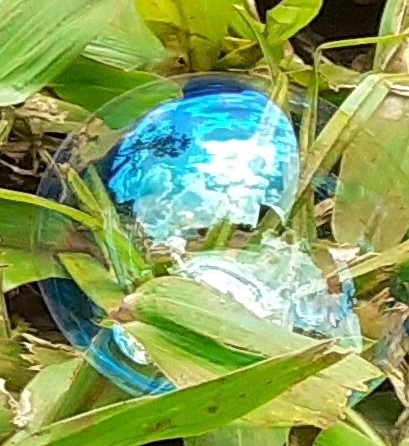 Member Background image