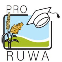 Member Background image