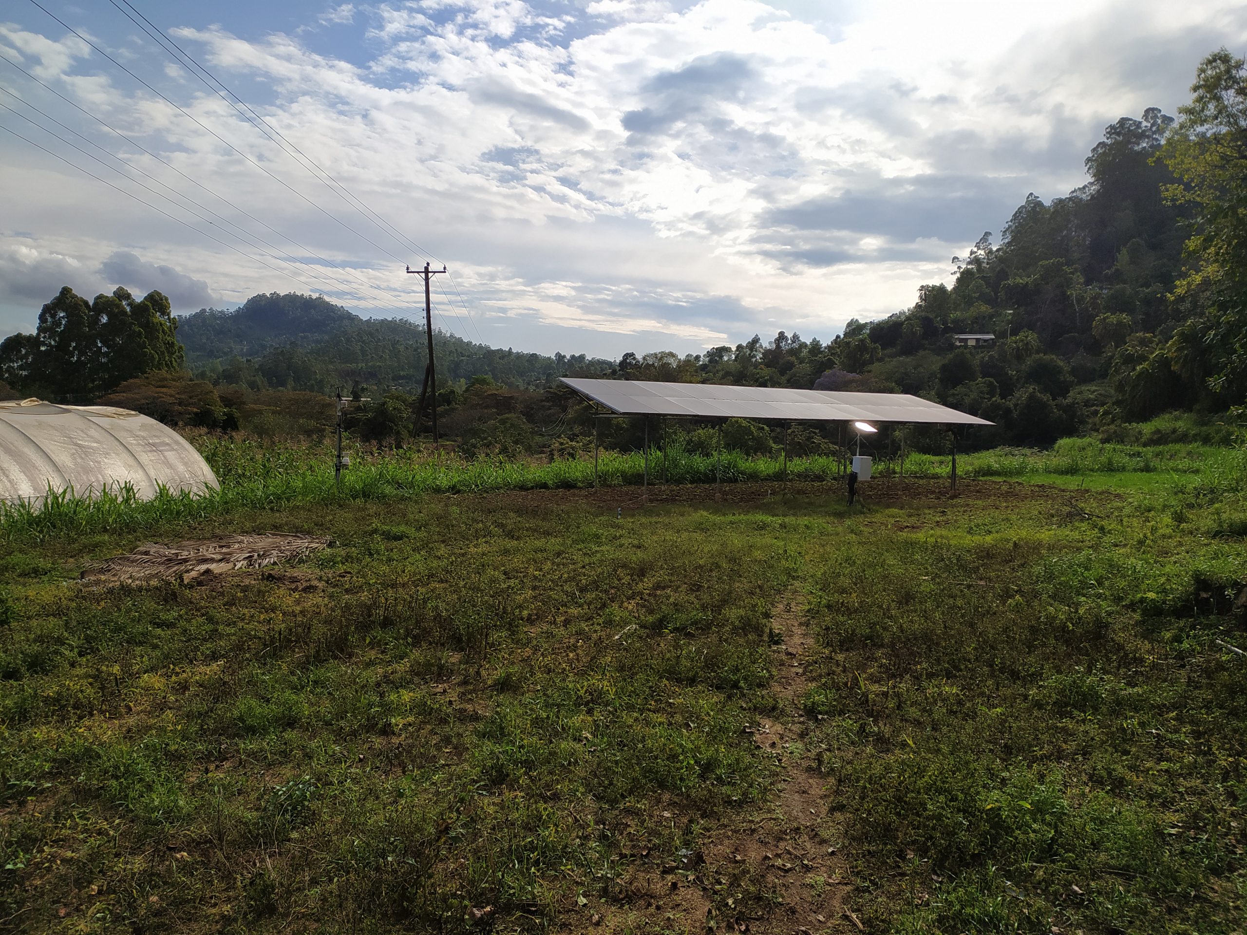 Member Background image