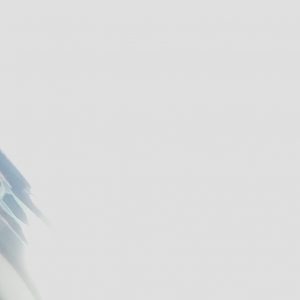 Member profile image